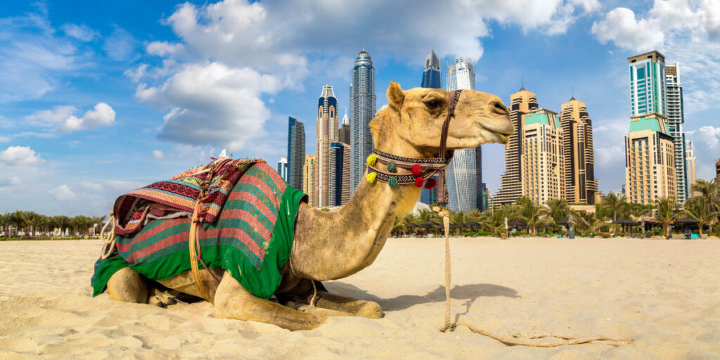 Things to Know about Dubai